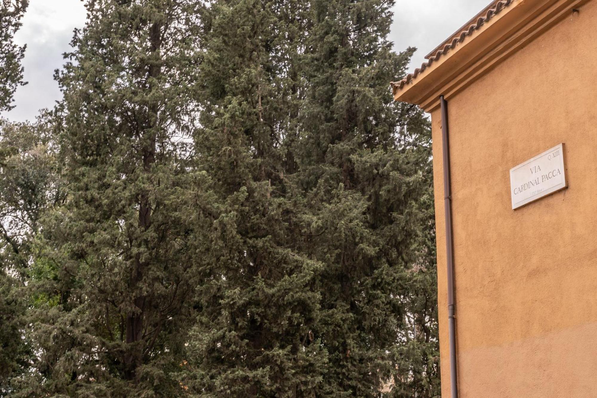 Pmt Apt, Rome